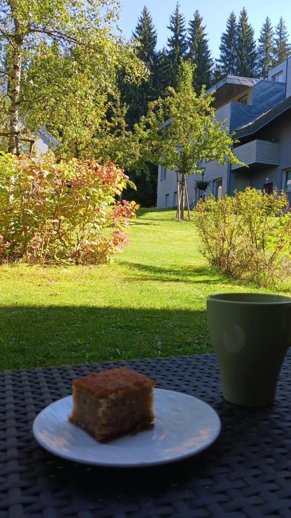 Ferienwohnung Apartman Sofie Se Zahradkou Harrachov Exterior foto